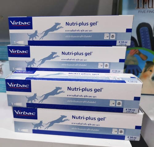 Virbac a besoin d’une pause