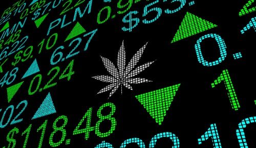 cannabis_en_avant