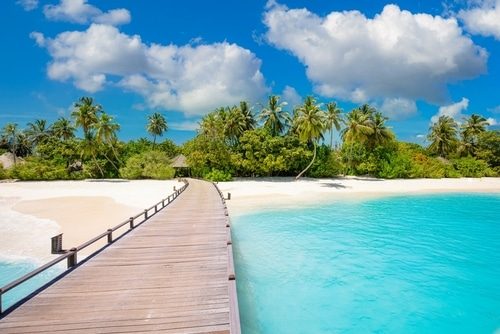 cannabis_vacances