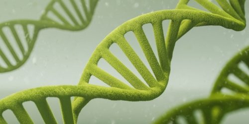 biotechs_en_avant